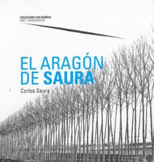 El Aragón de Saura 
